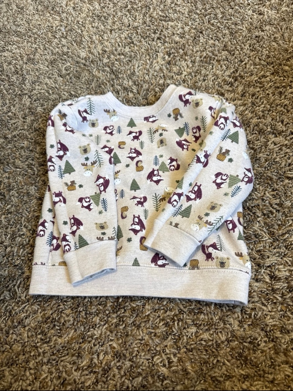 Kids Beige Forest Animal Sweatshirt - Neutral Print